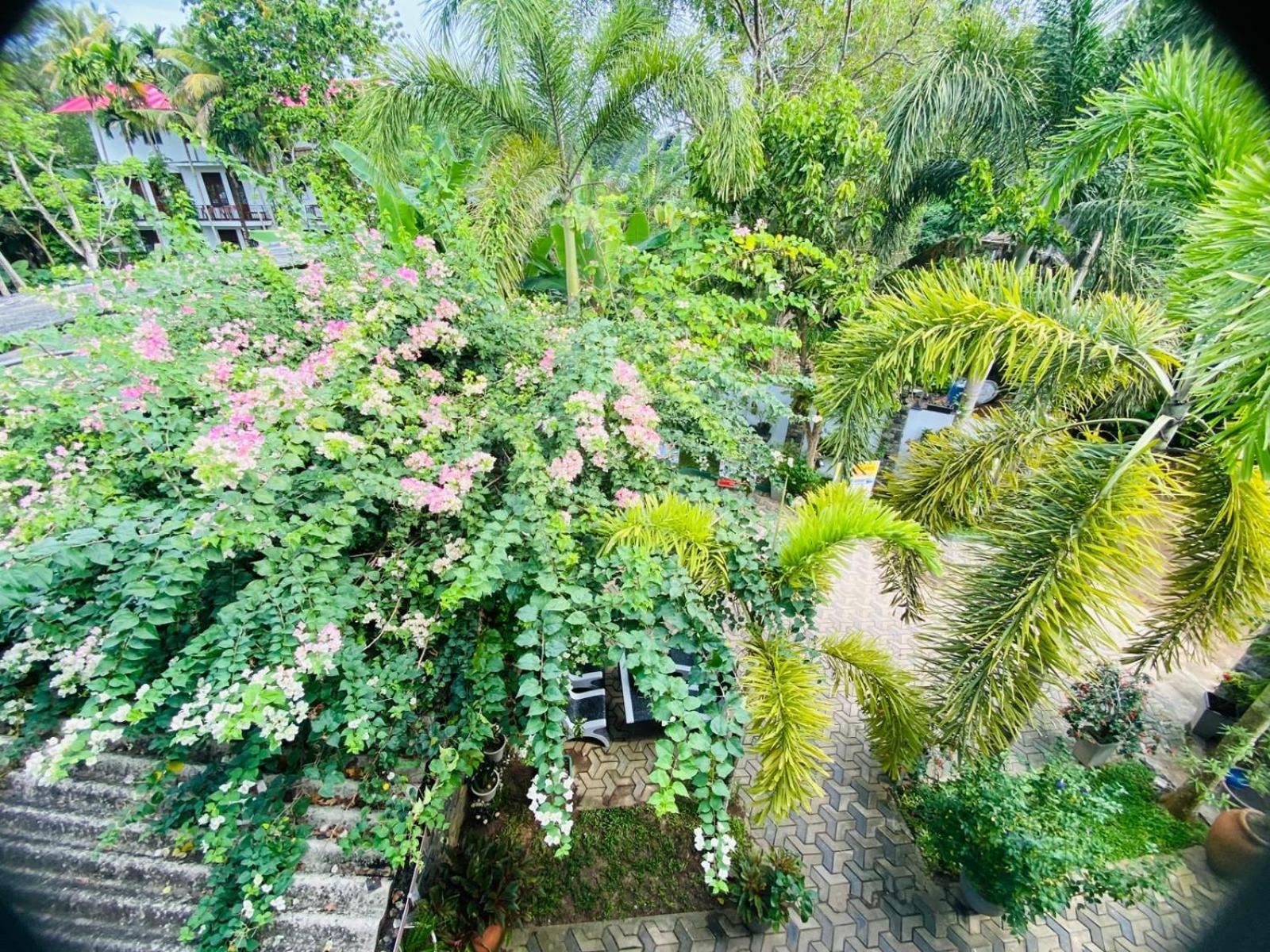 Hotel Awon Mirissa Exterior foto